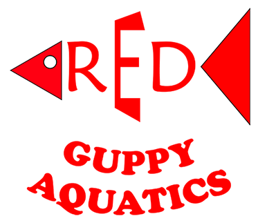 Red Guppy Aquatics